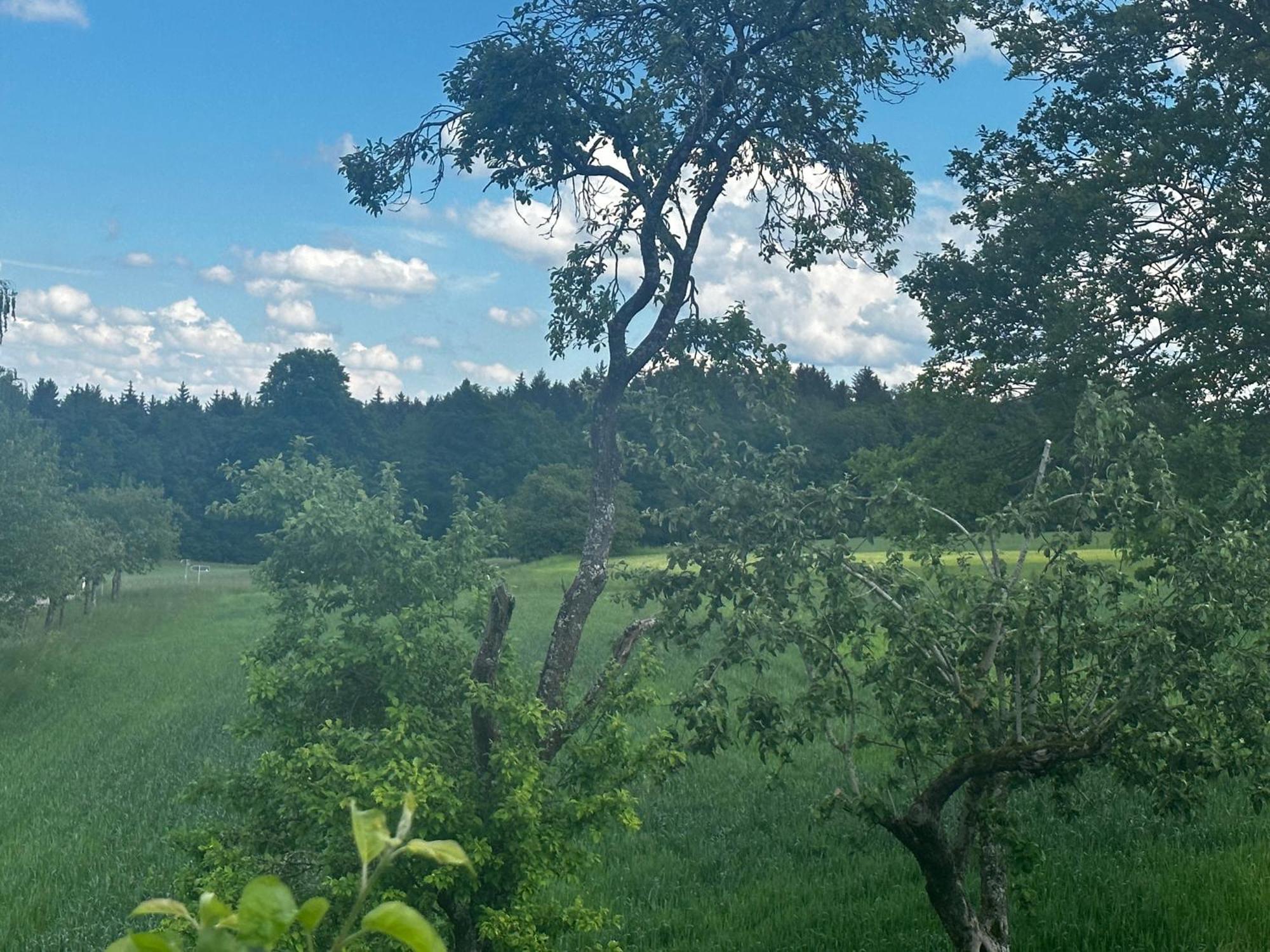 Holiday home Ferienunterkunft Schwaebischer Wald *